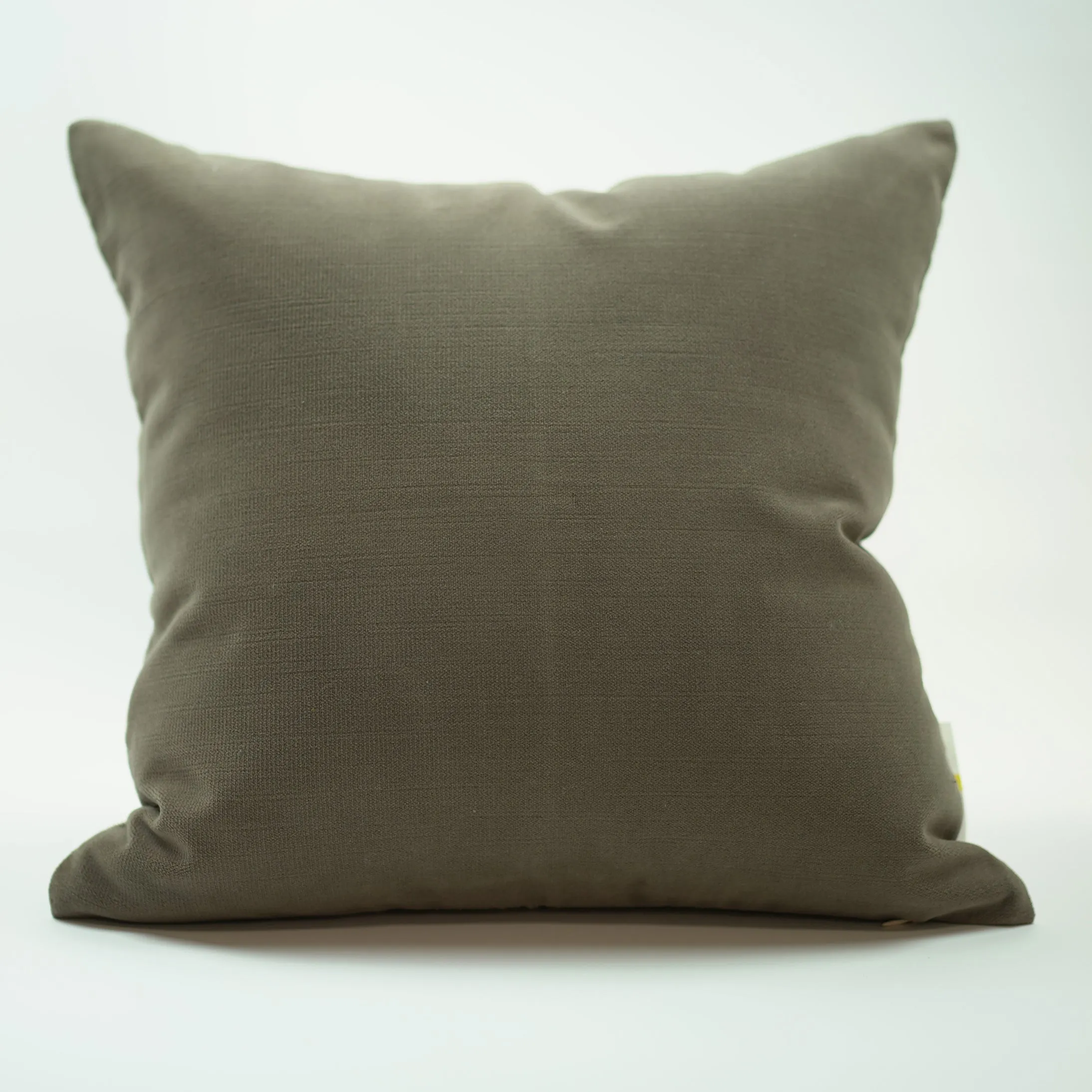ABSTRACT PILLOWS