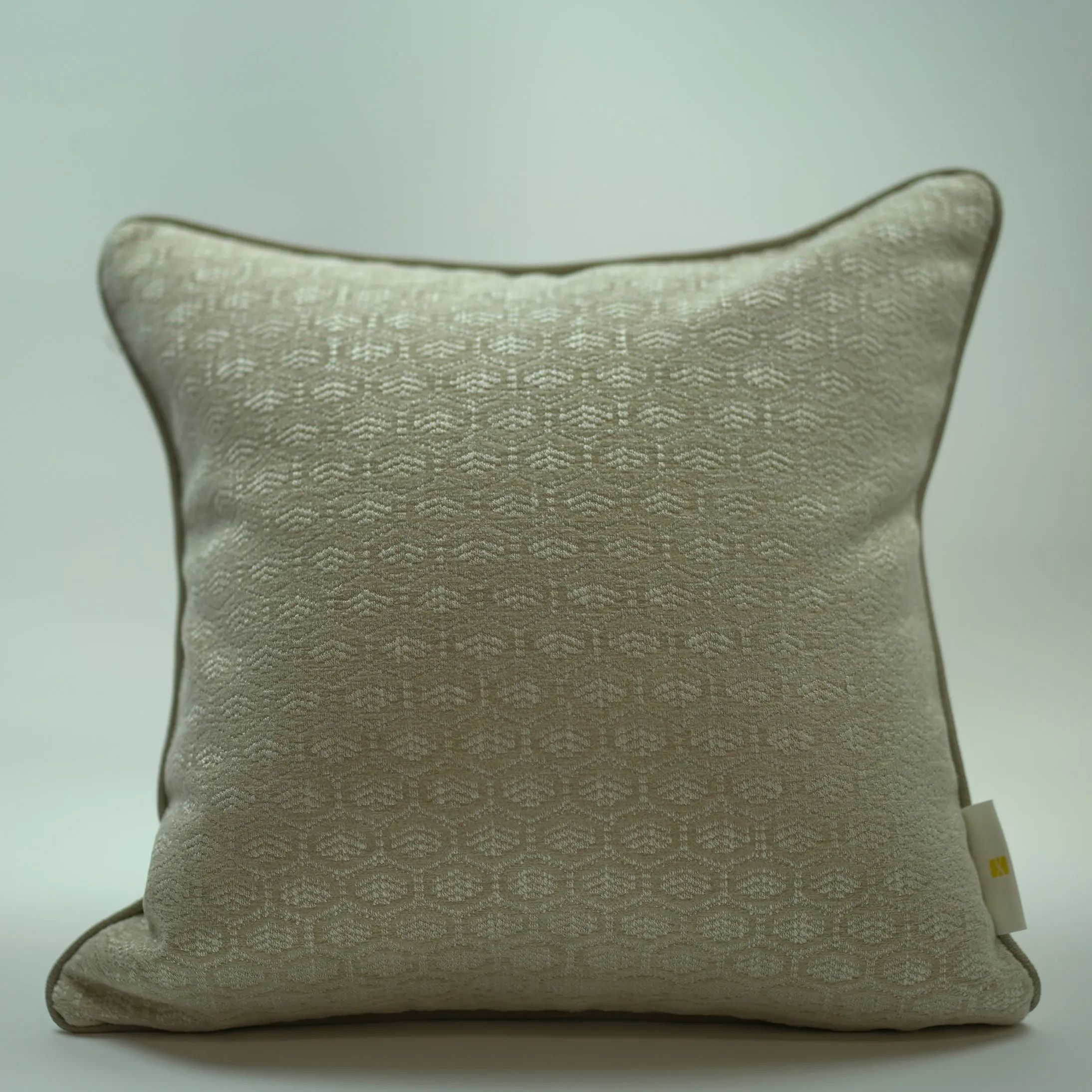 ABSTRACT PILLOWS