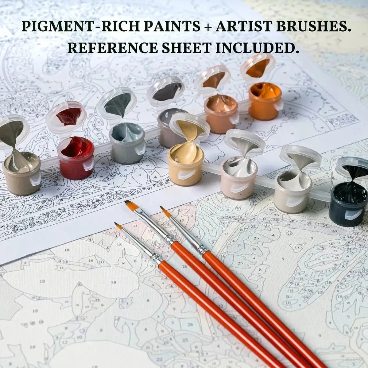 Batrachia - Paint by Numbers