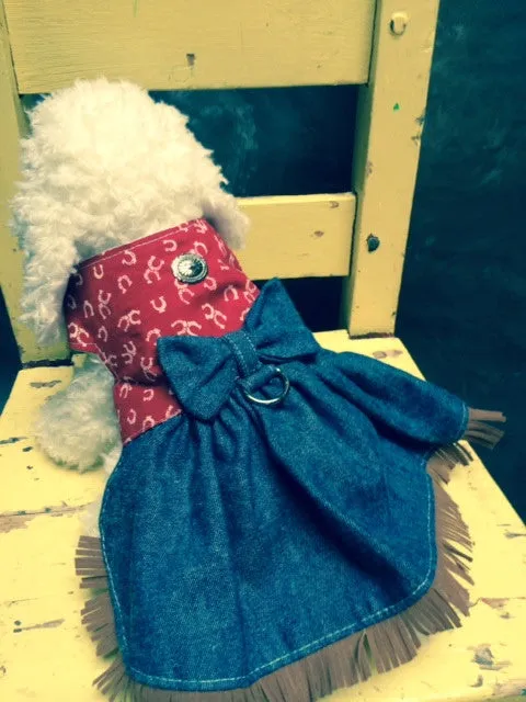 Cowgirl Dress