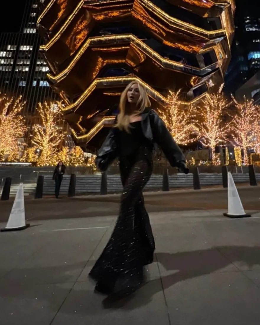 Dana Foley Stylish Sheer Sparkle Pant