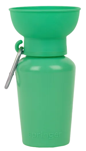 Flip Dog Travel Bottle 20oz - Springer Green