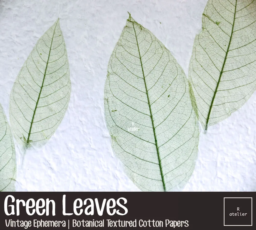 Green Leaves | Scrapbooking Paper