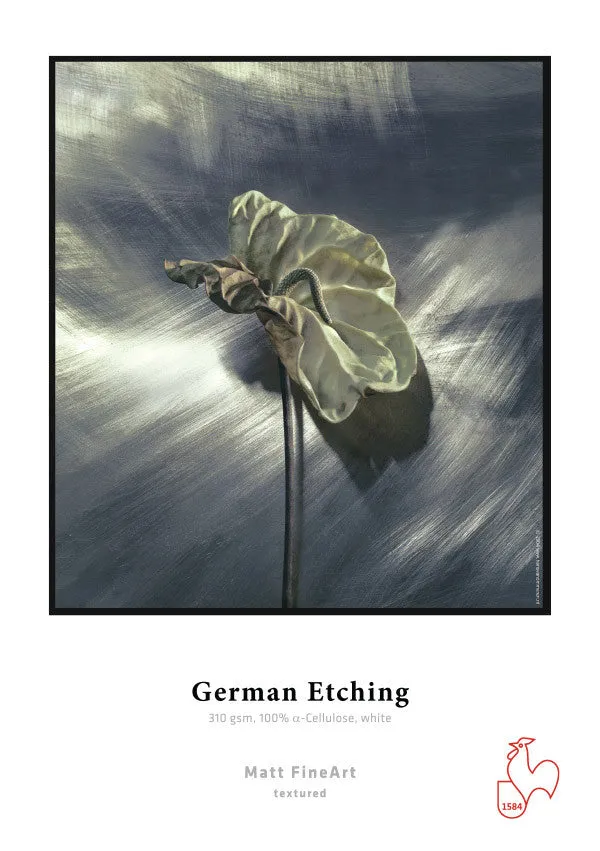 Hahnemuhle - German Etching 310 gsm, 11"x17", 25 sheets (Special Order)