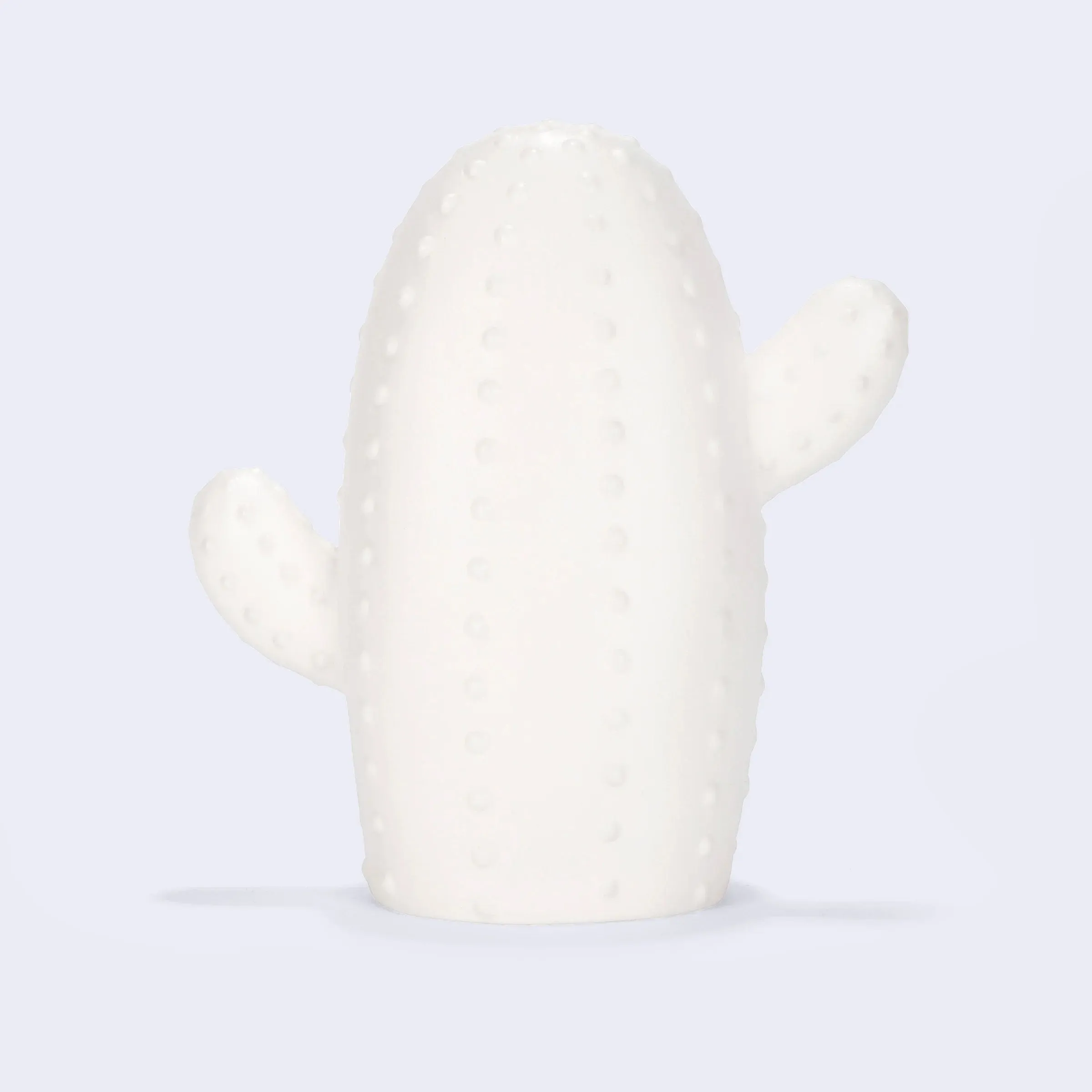 Large Cactus LED Light