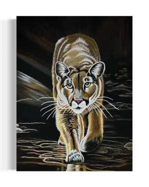 Mountain Lion-Kojo | Original