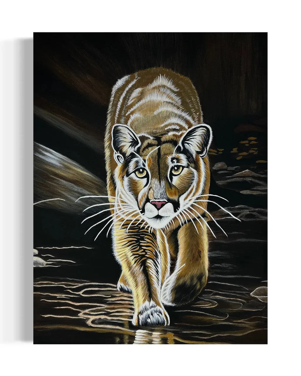 Mountain Lion-Kojo | Original