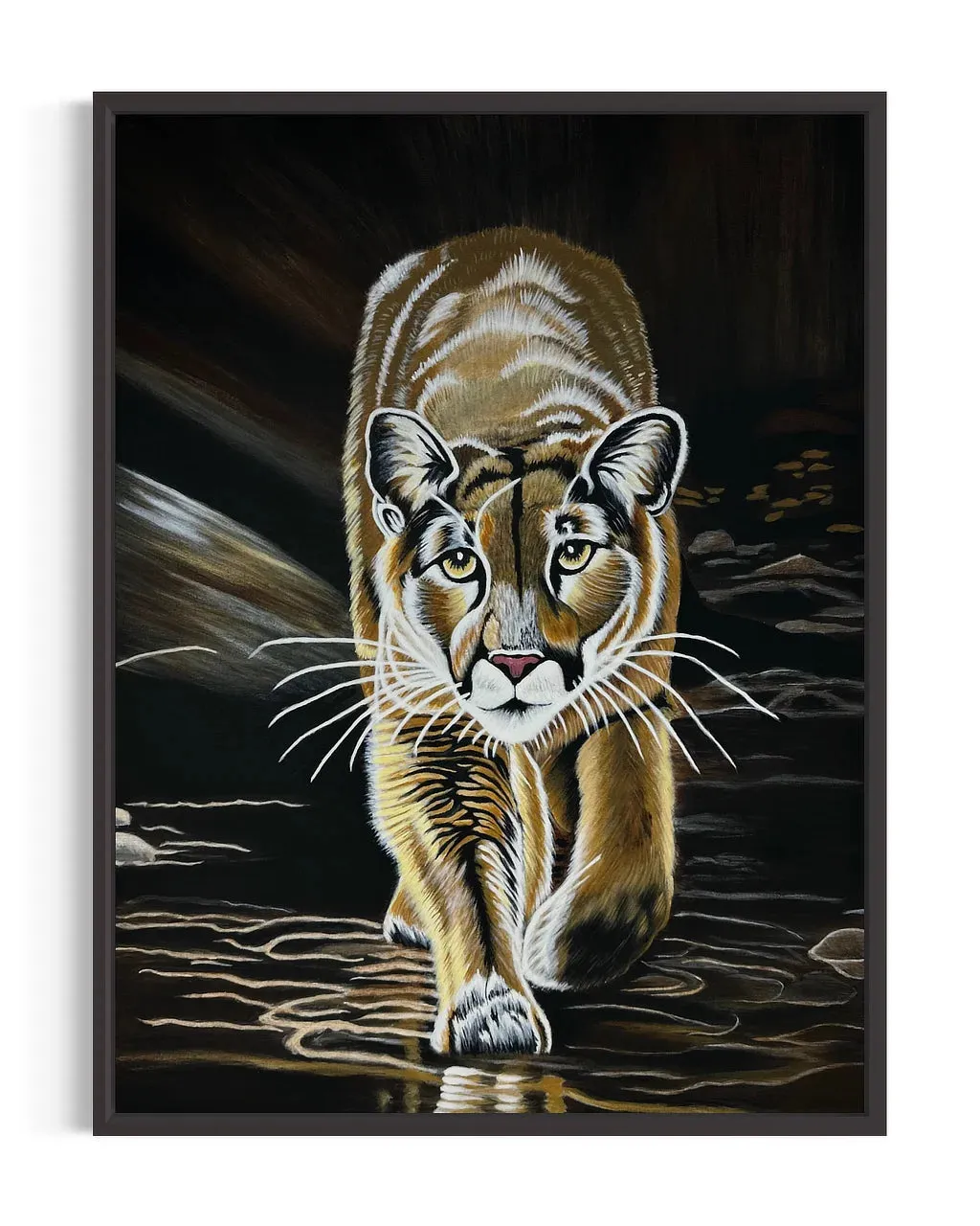 Mountain Lion-Kojo | Original