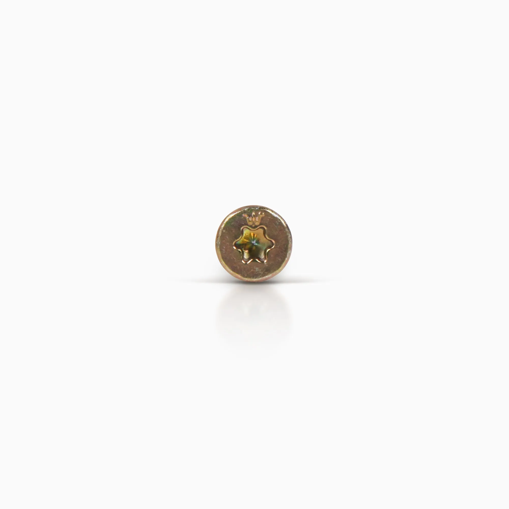 Multi-Purpose Wood Screw
