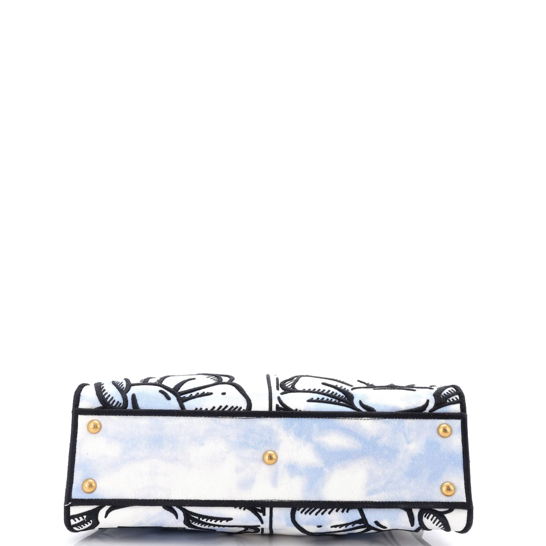 Peekaboo Iconic Bag Joshua Vides Printed Canvas Regular