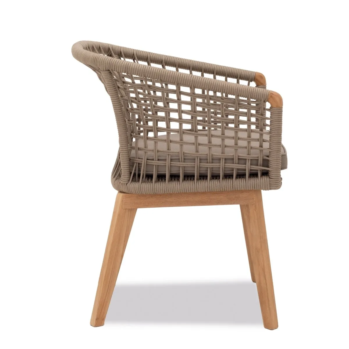 Pimlico Club Dining | Carver Chair