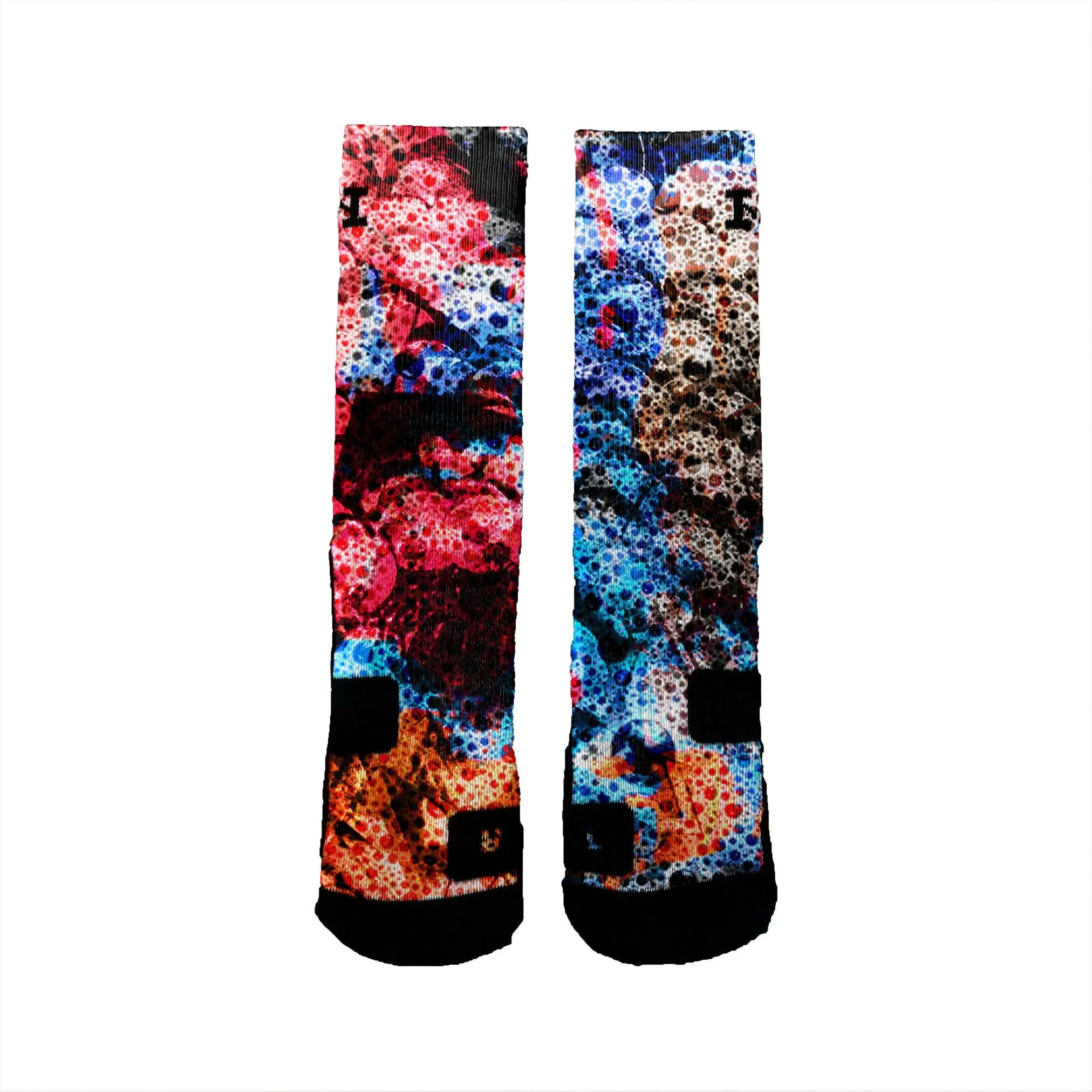 Rainbow Coral