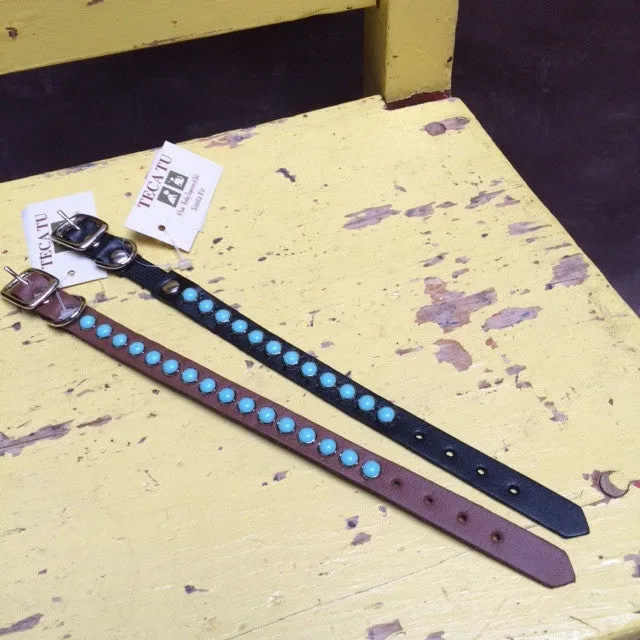 RN Designs Classic Turquoise Collars