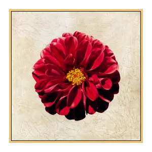 Textured Petals 2